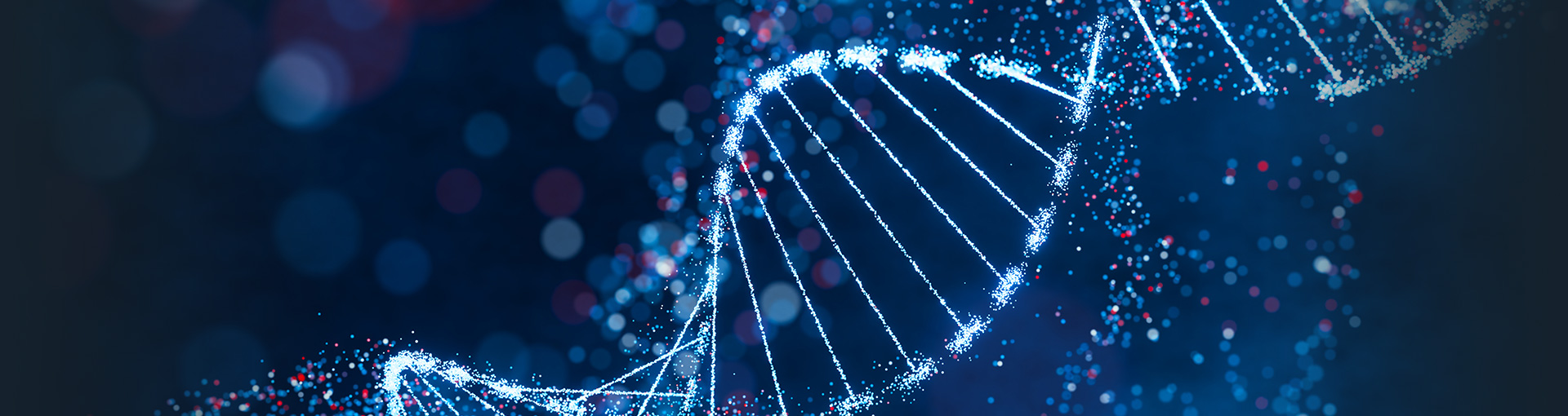 Corporate Culture & Values