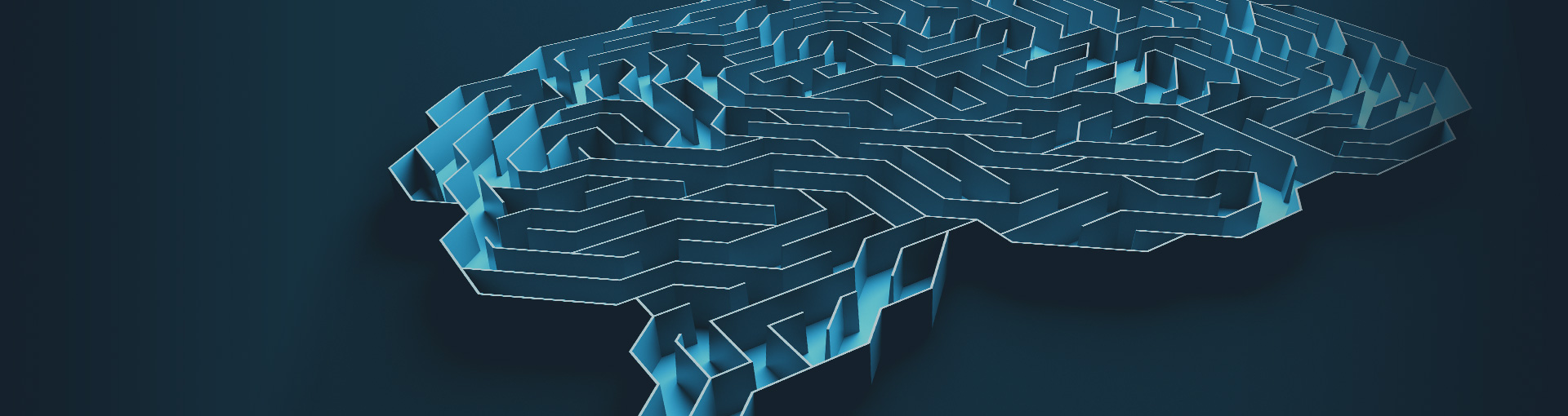 Leadership Development & Coaching